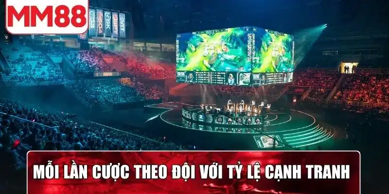Mỗi lần cược theo đội chơi với tỷ lệ cạnh tranh cao